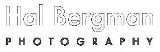 Hal Bergman